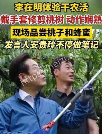 李在明修剪桃树世宗农场